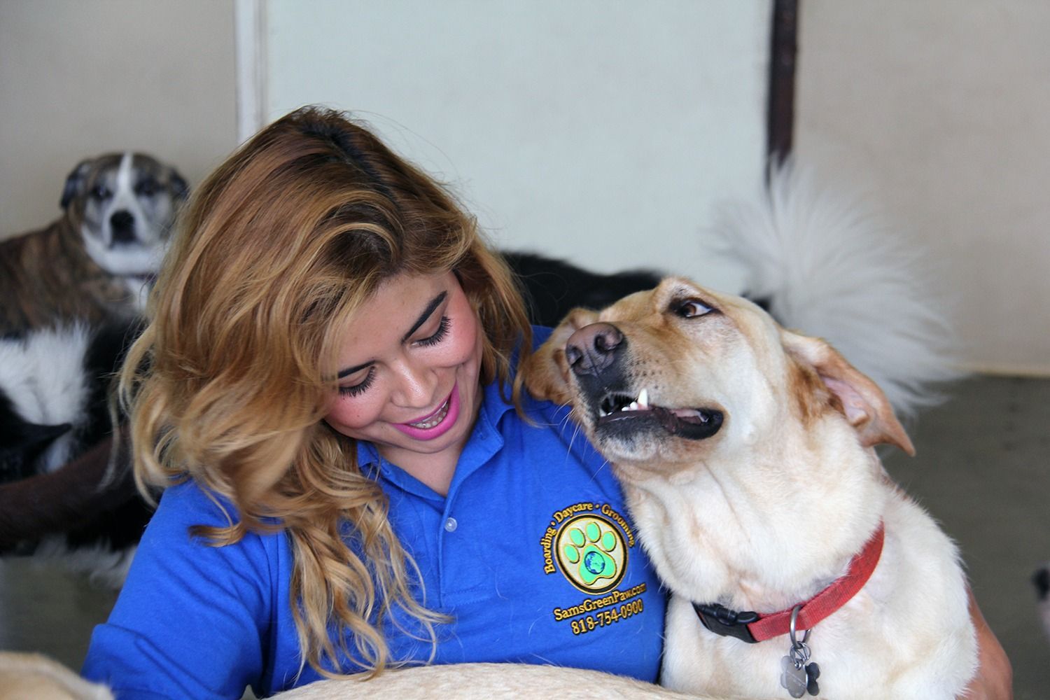 A smiling person in a blue collared shirt interacts with a light-colored dog, with another dog visible in the background.