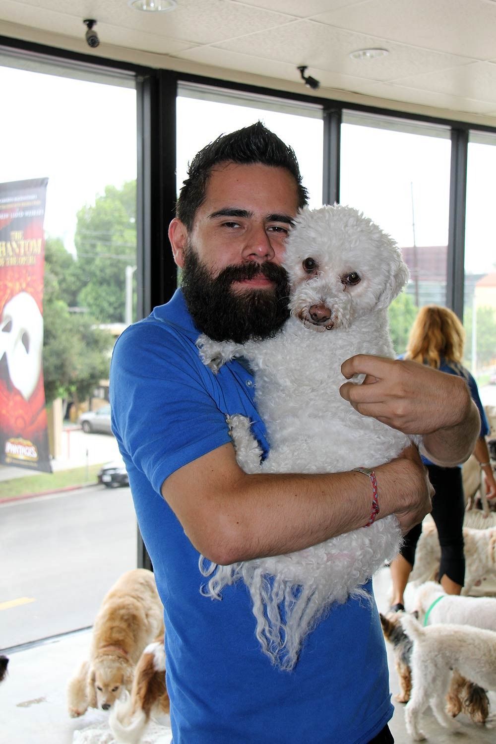 A bearded person in a blue polo shirt holds a fluffy white dog inside a room with large windows and other dogs.