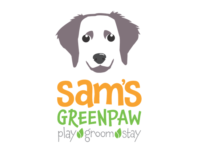 automatic dog feeder wet food Geeni Pet Feeder