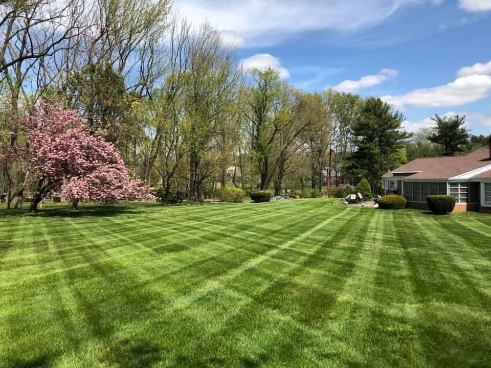Father Nature Landscaping Work