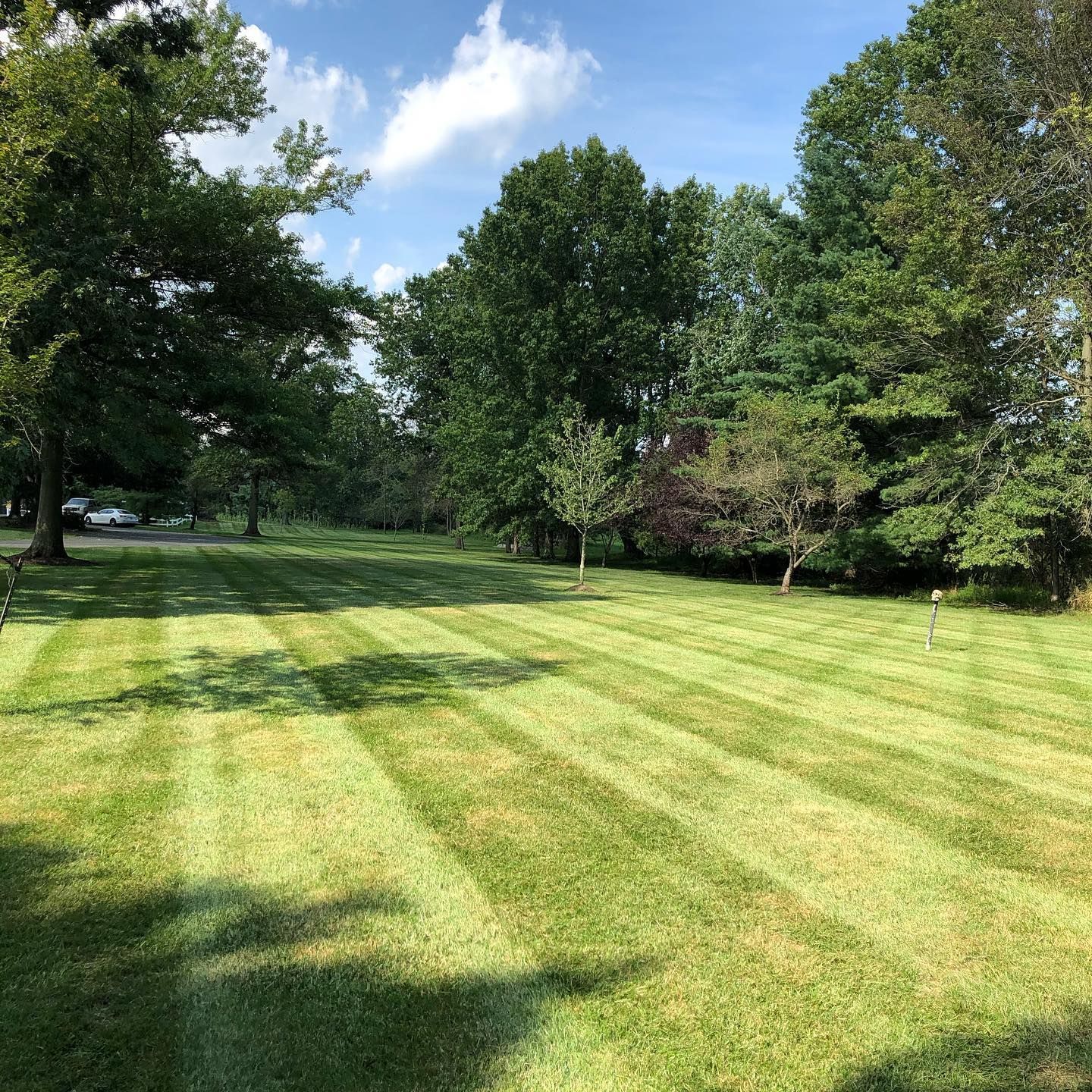 Father Nature Landscaping Work