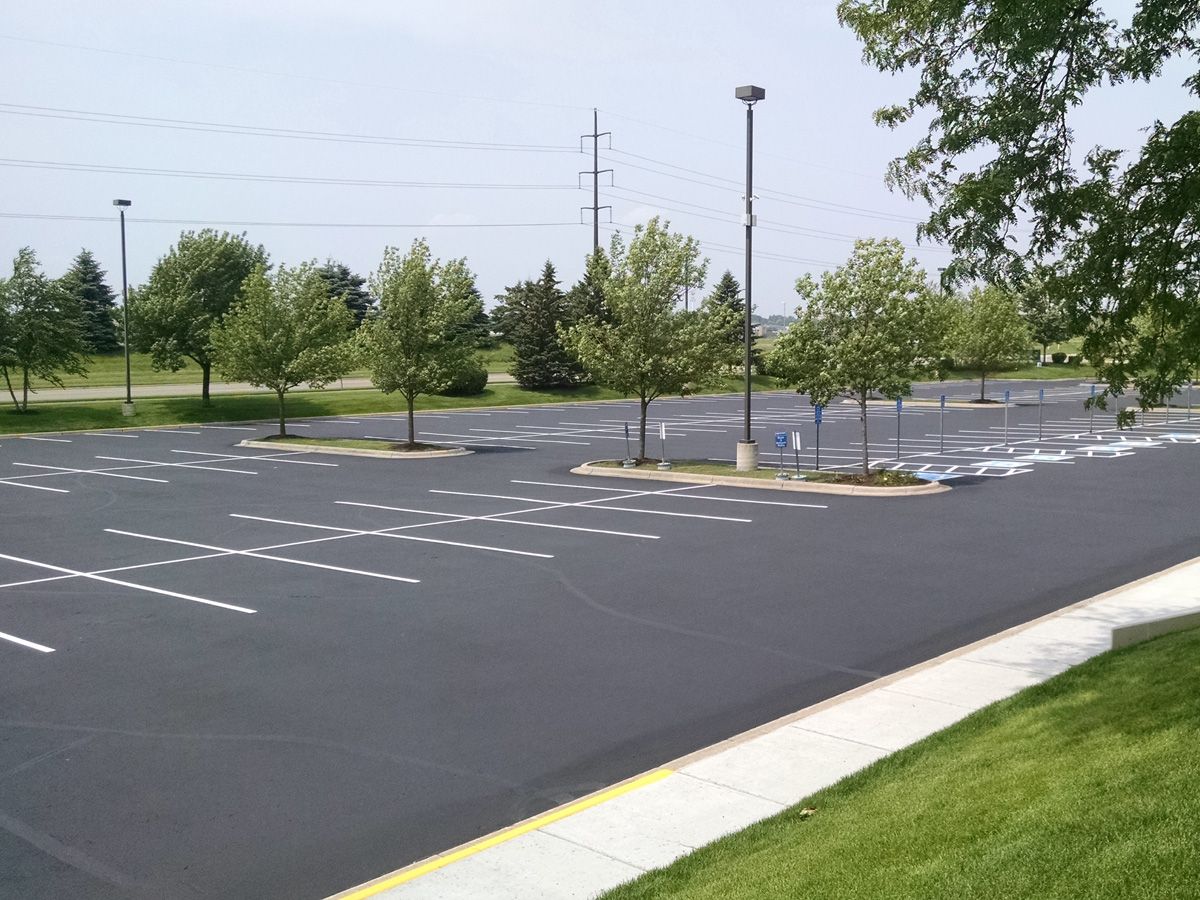 Empty parking lot with painted spaces, small trees, and grassy edges on a clear day