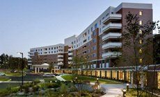 Pitch Pines Landscaping Property Maintenance