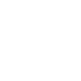 Blank white image