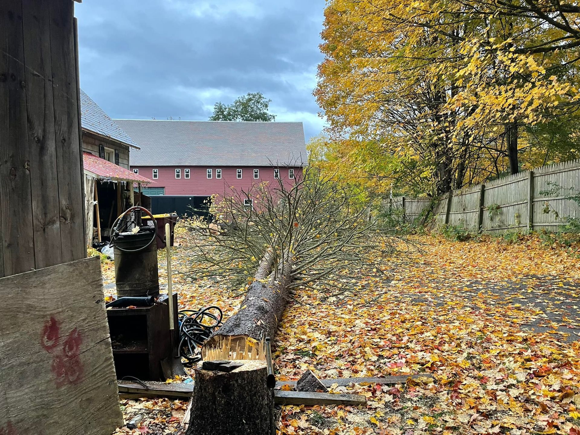 A saw is cutting a tree stump in a yard with a barn in the background.