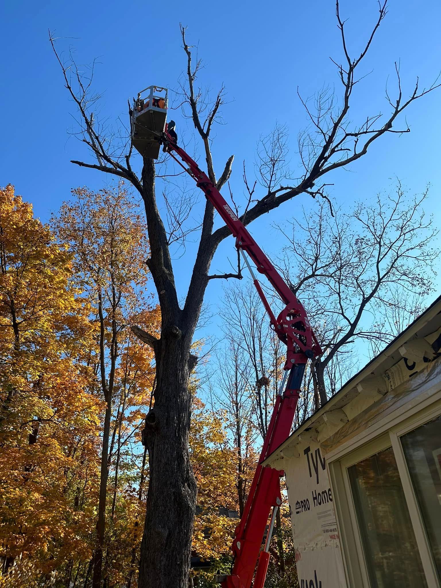 A man is cutting a tree with a crane.