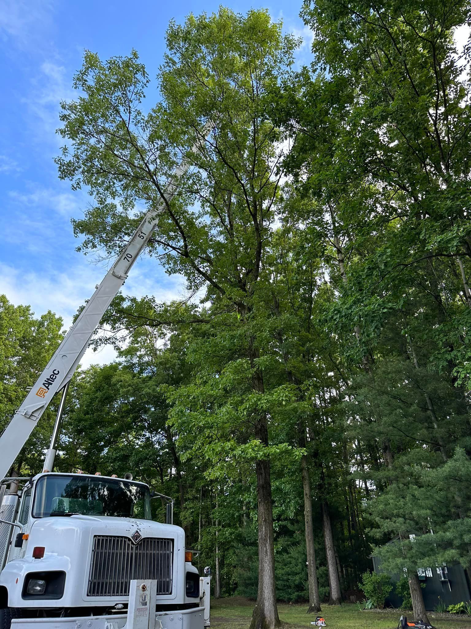 A white truck with a crane attached to it is cutting a tree.