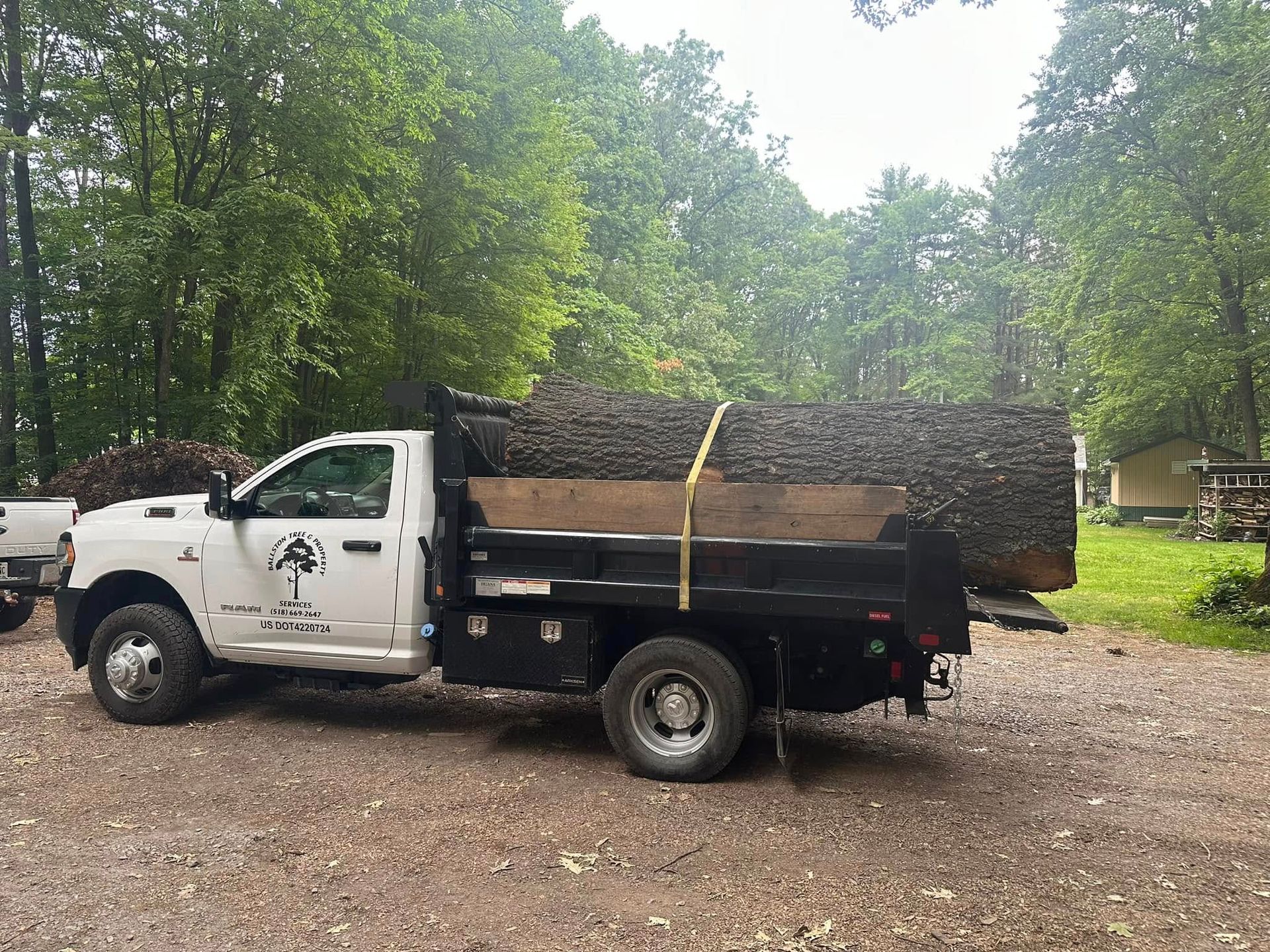 A white dump truck with a large log in the bed is parked in a gravel lot.