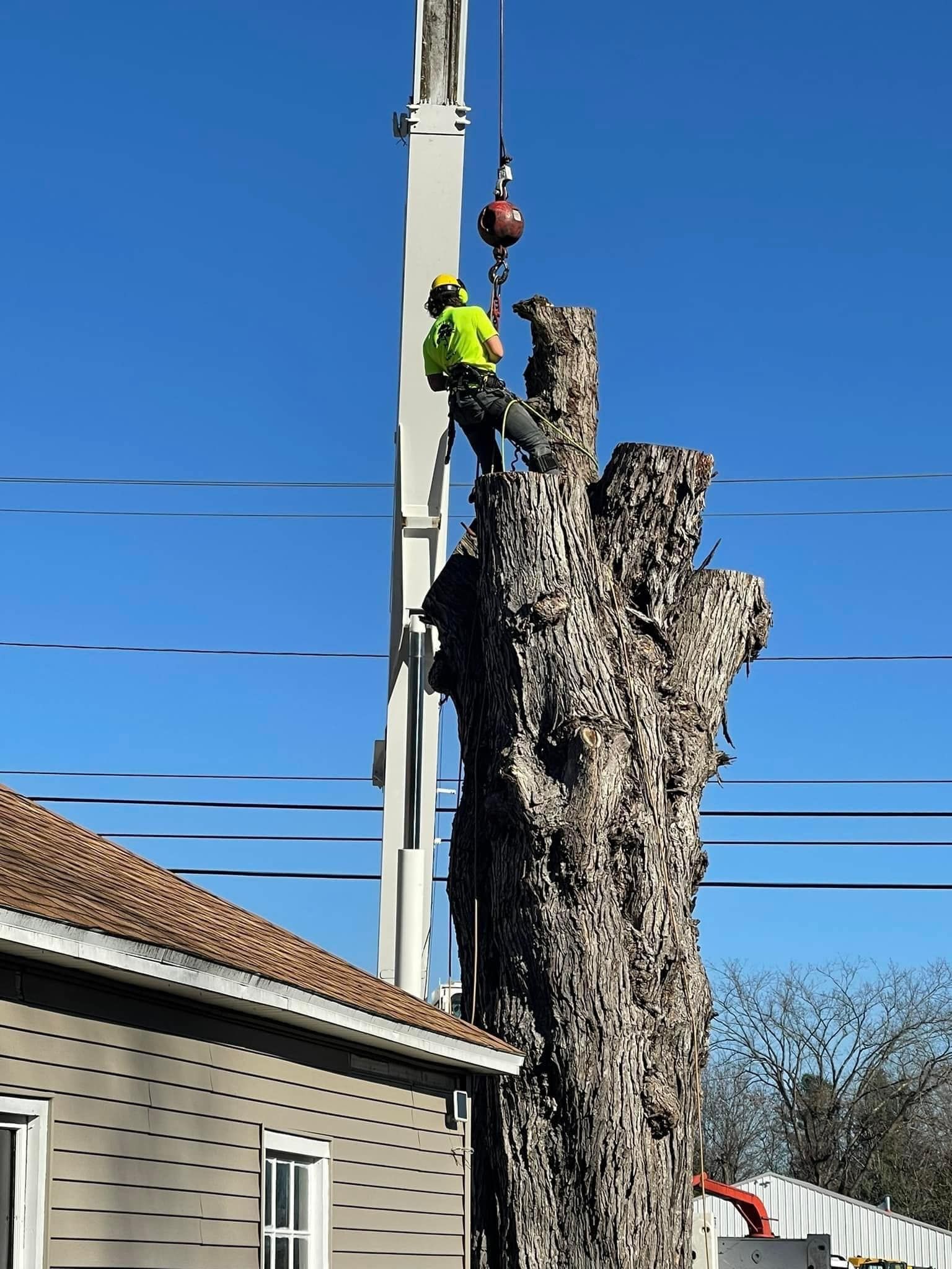 A man is climbing up a tree stump next to a house.