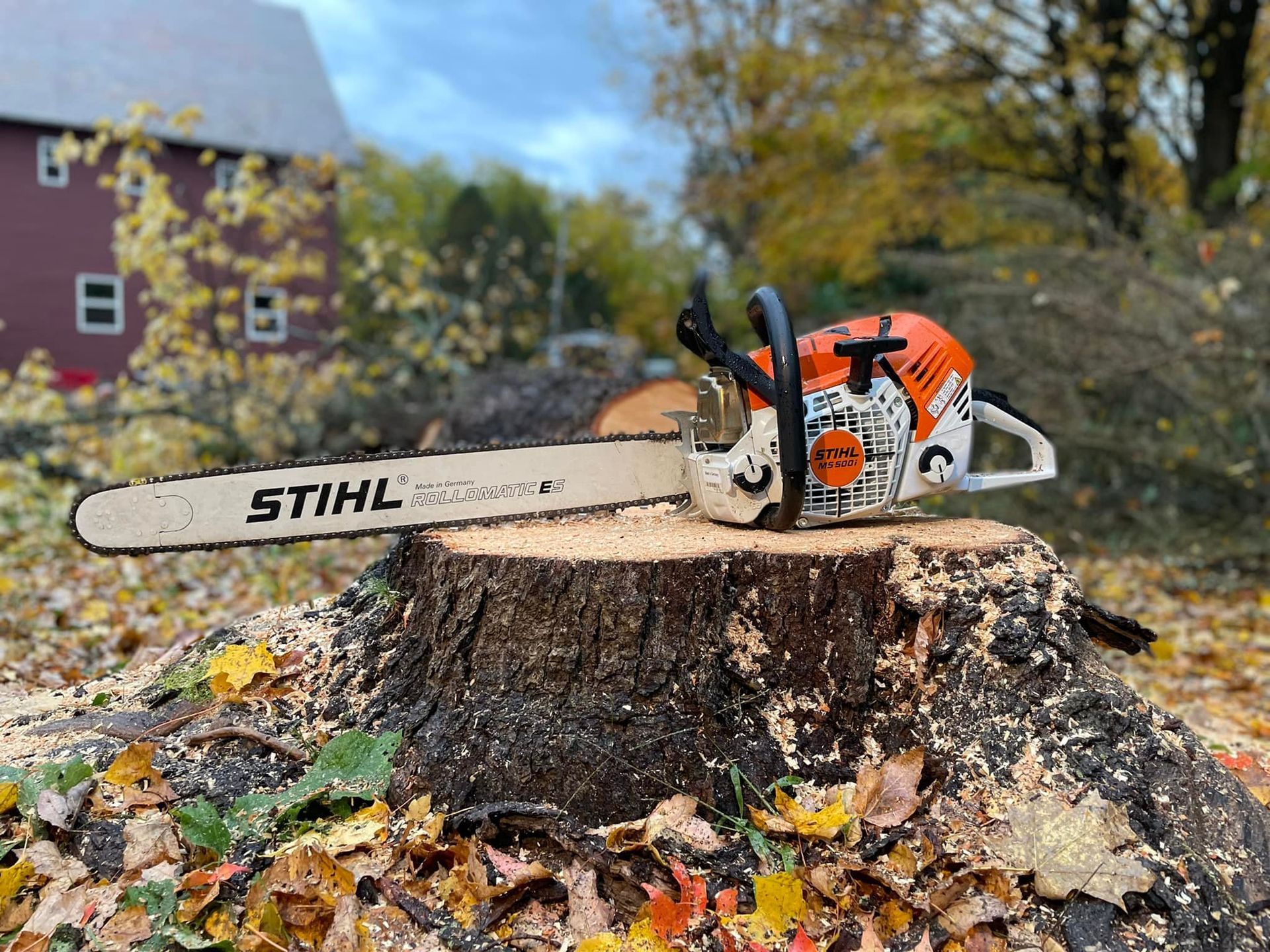 A chainsaw is sitting on top of a tree stump.