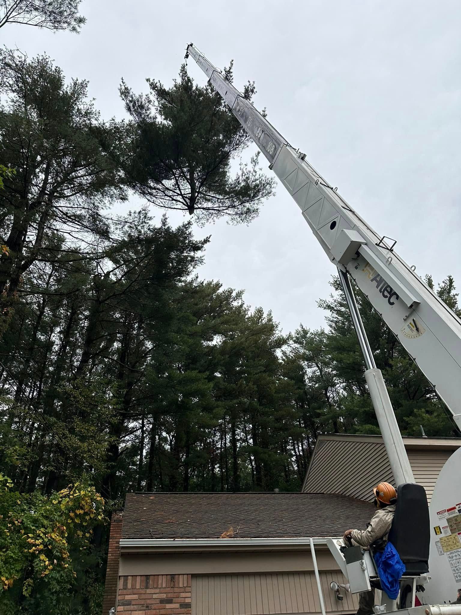 A man is cutting a tree with a crane in front of a house.