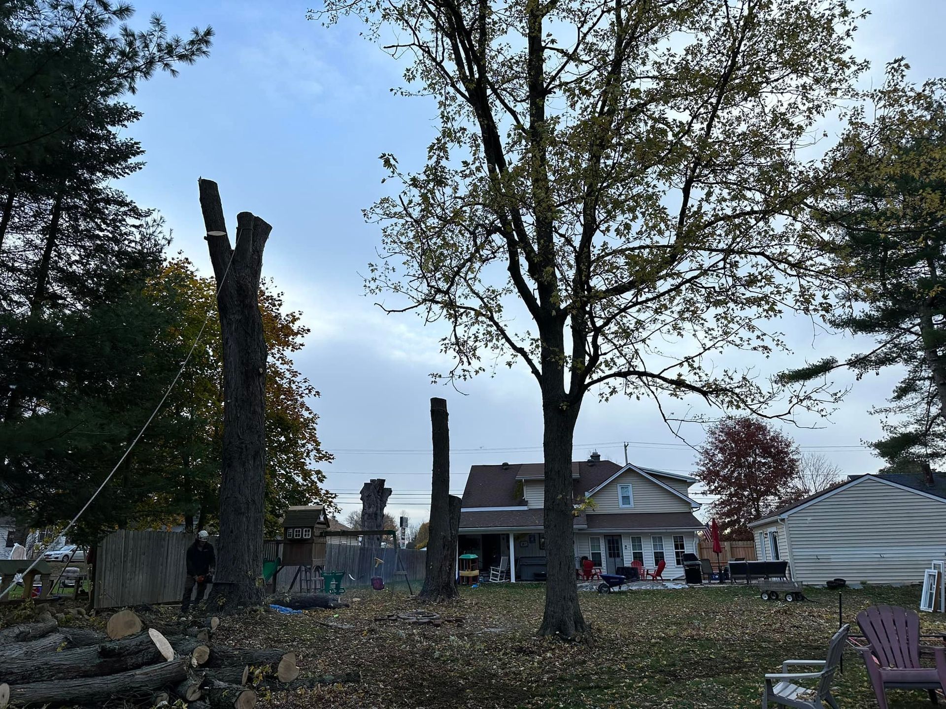 A house with a lot of trees in front of it