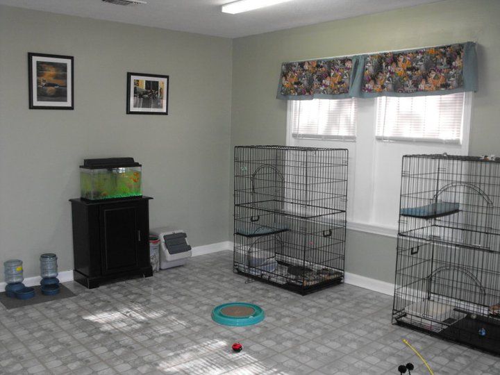 The Pet's Play Palace