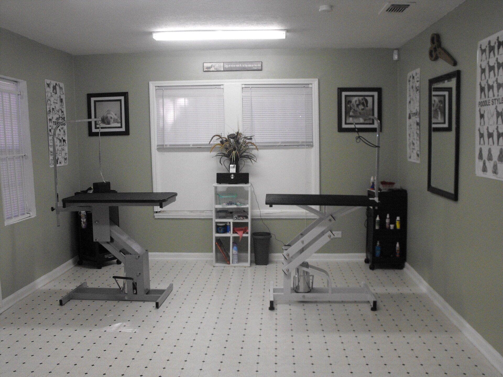 The Pet's Play Palace