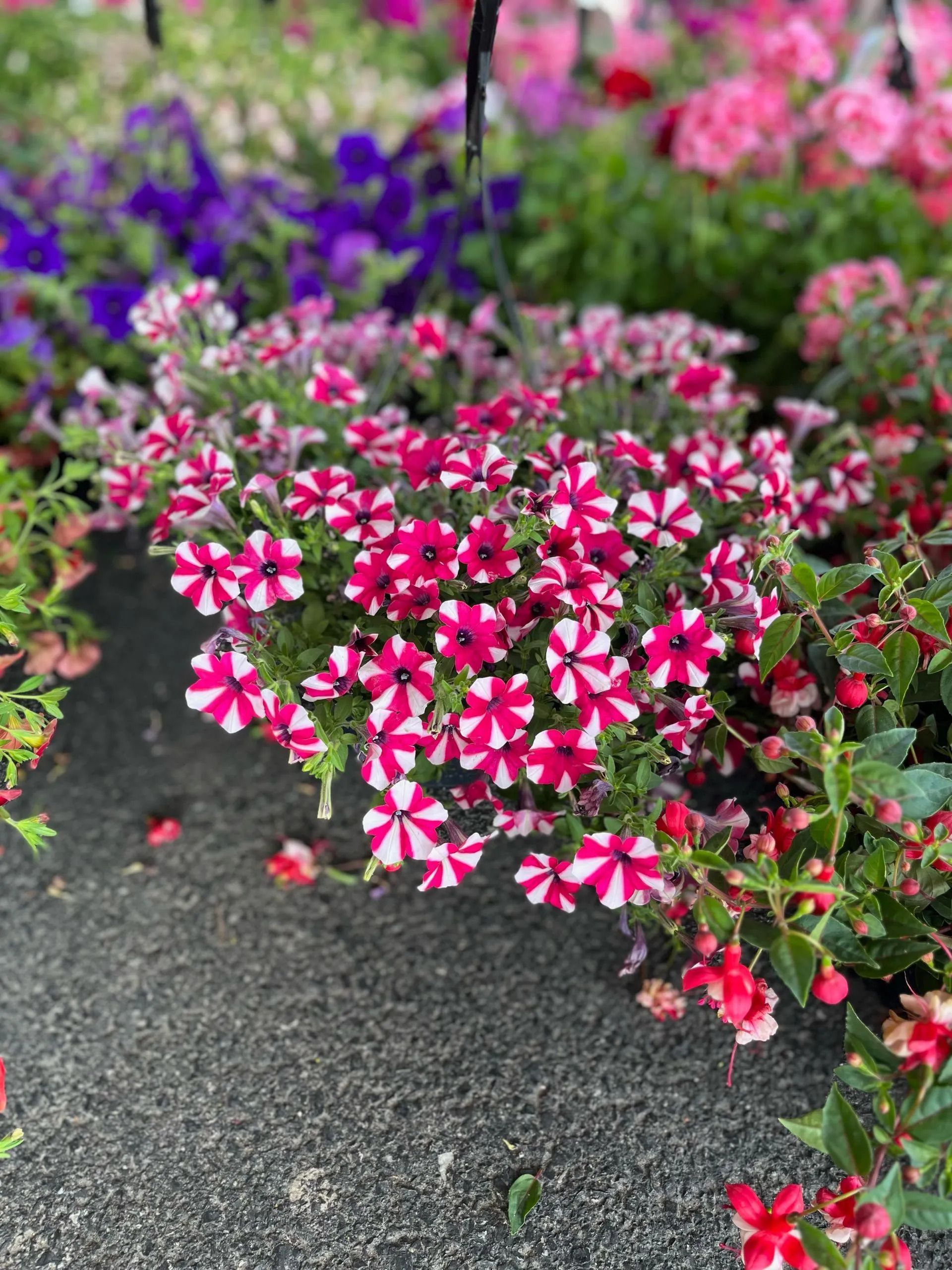 gristick-s-food-and-produce-market-lebanon-pa