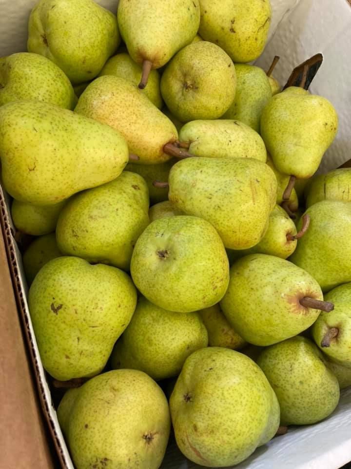 Pears