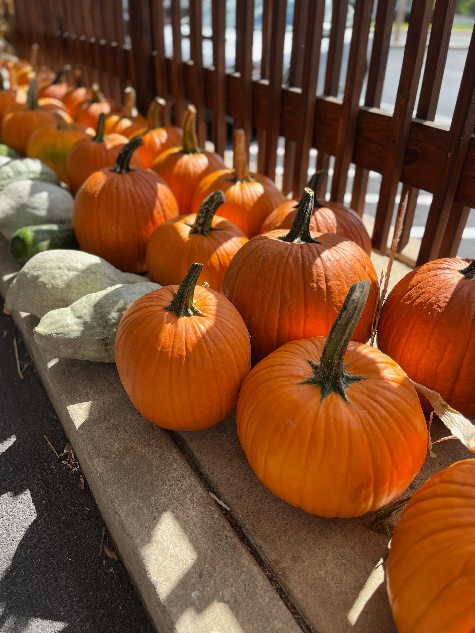 Fall decor pumpkins