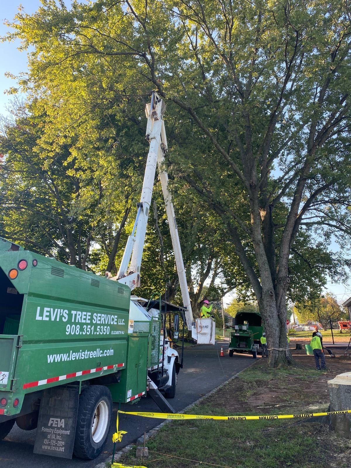 Tree trimming service in progress, truck with extended lift reaching tree branches. Yellow caution tape.