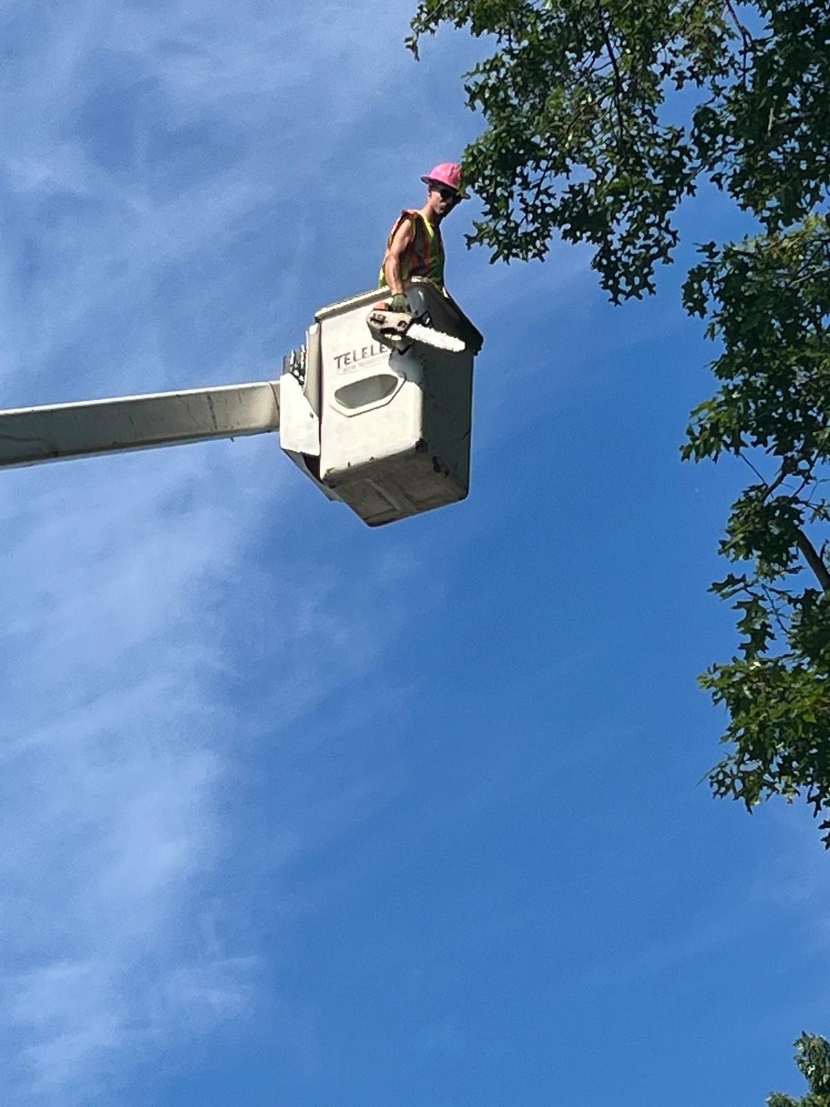 Man in bucket lift, cutting tree branches with chainsaw against blue sky.