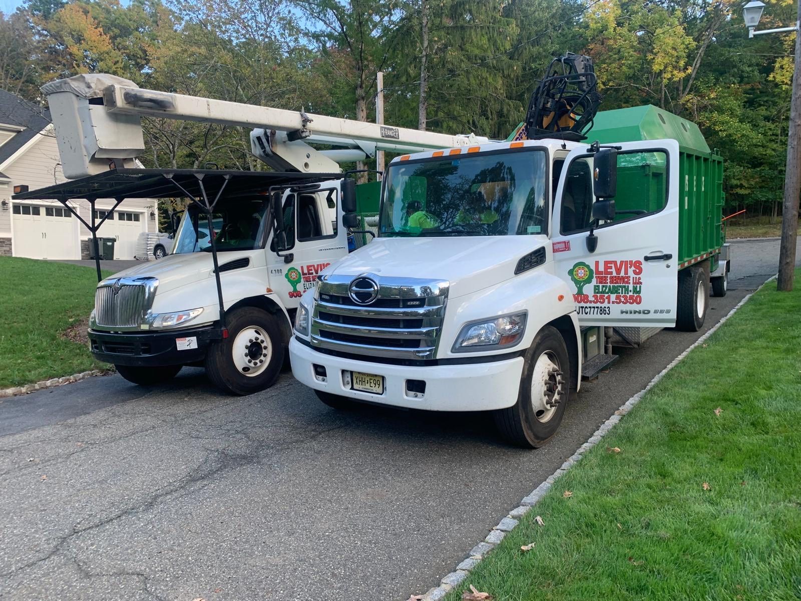 Two white tree service trucks parked on a street; one with a lift arm extended, another with a green container.