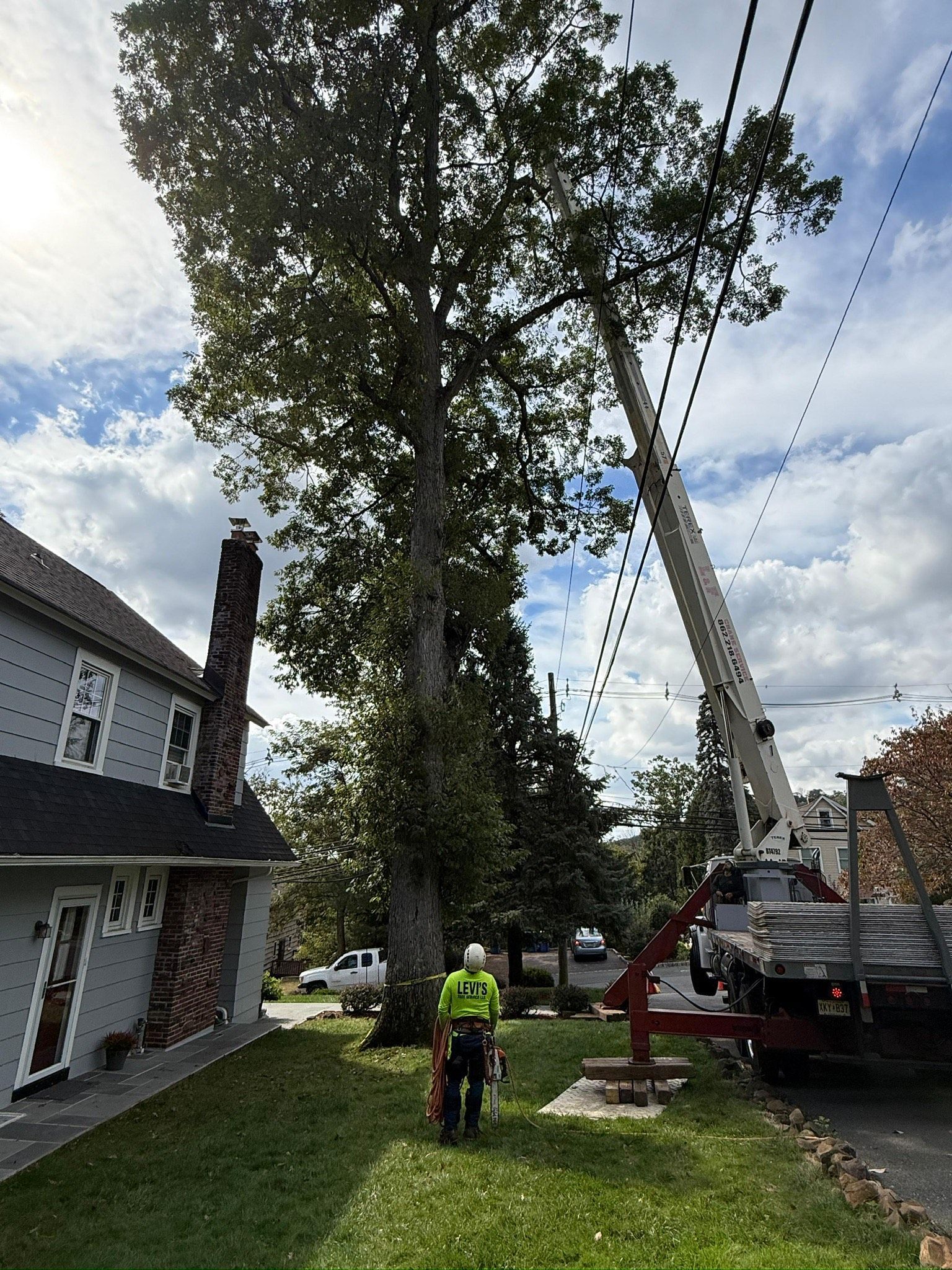 Tree trimming near power lines with a worker in a safety vest and a crane truck.