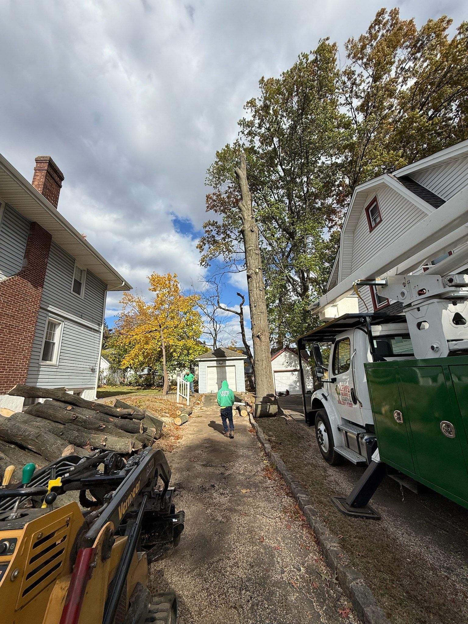 Tree removal in progress beside a house; workers, a truck with a lift, and a small excavator are present.