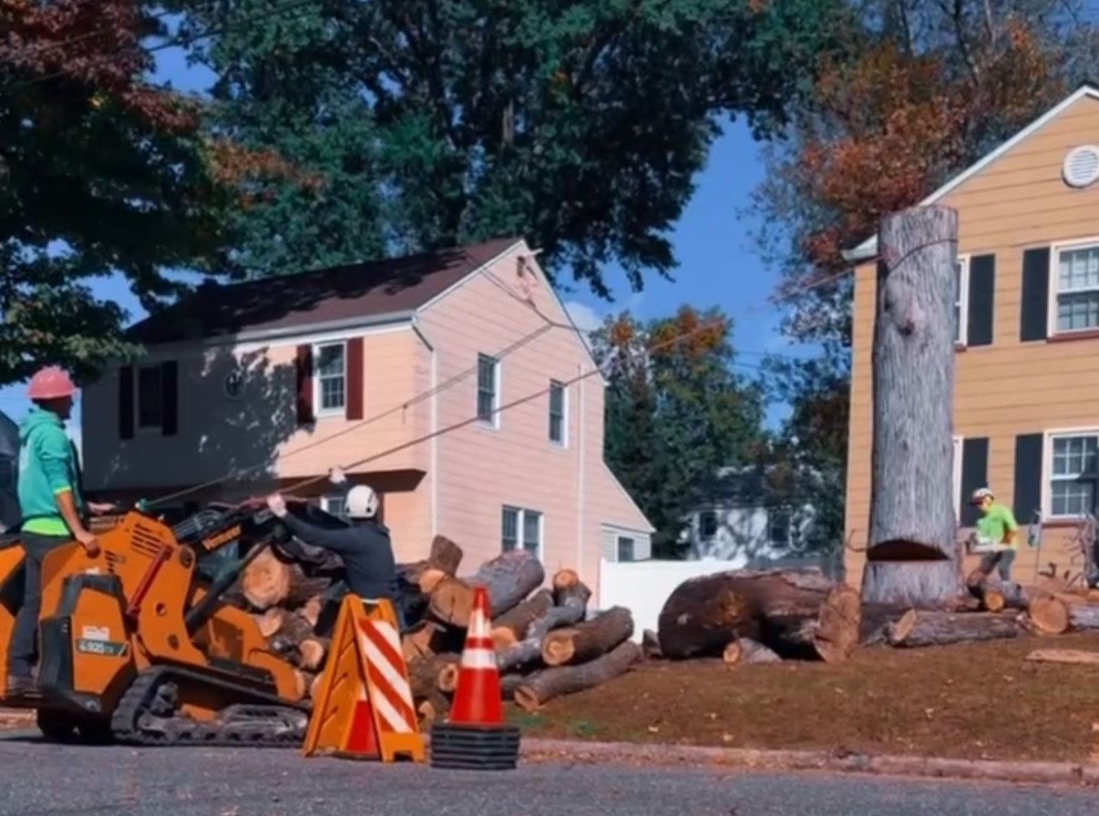Tree removal in residential area; workers with equipment, logs, and a tall stump near houses.