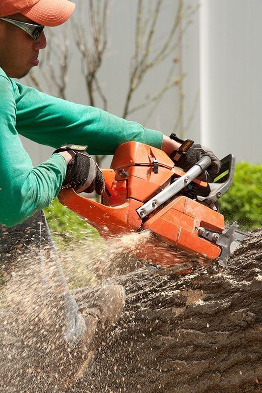 Person using orange chainsaw to cut a log, wood chips flying.