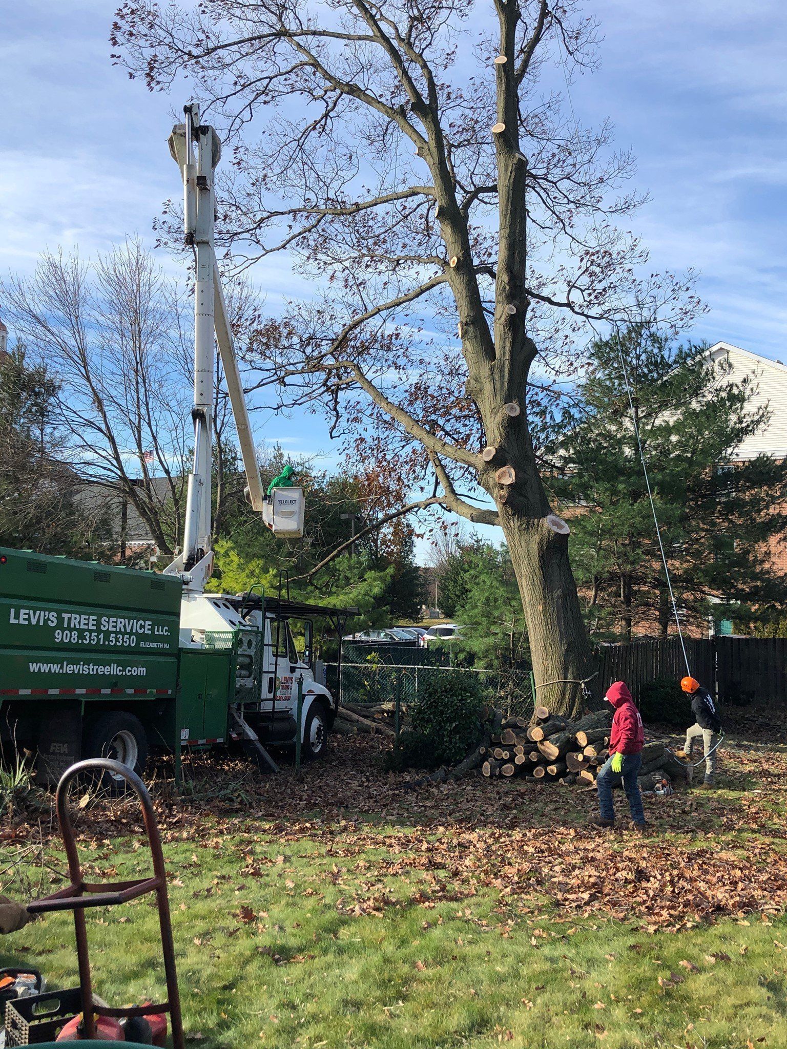 A tree being trimmed by a worker in a bucket truck. A second worker on the ground. Fall leaves.