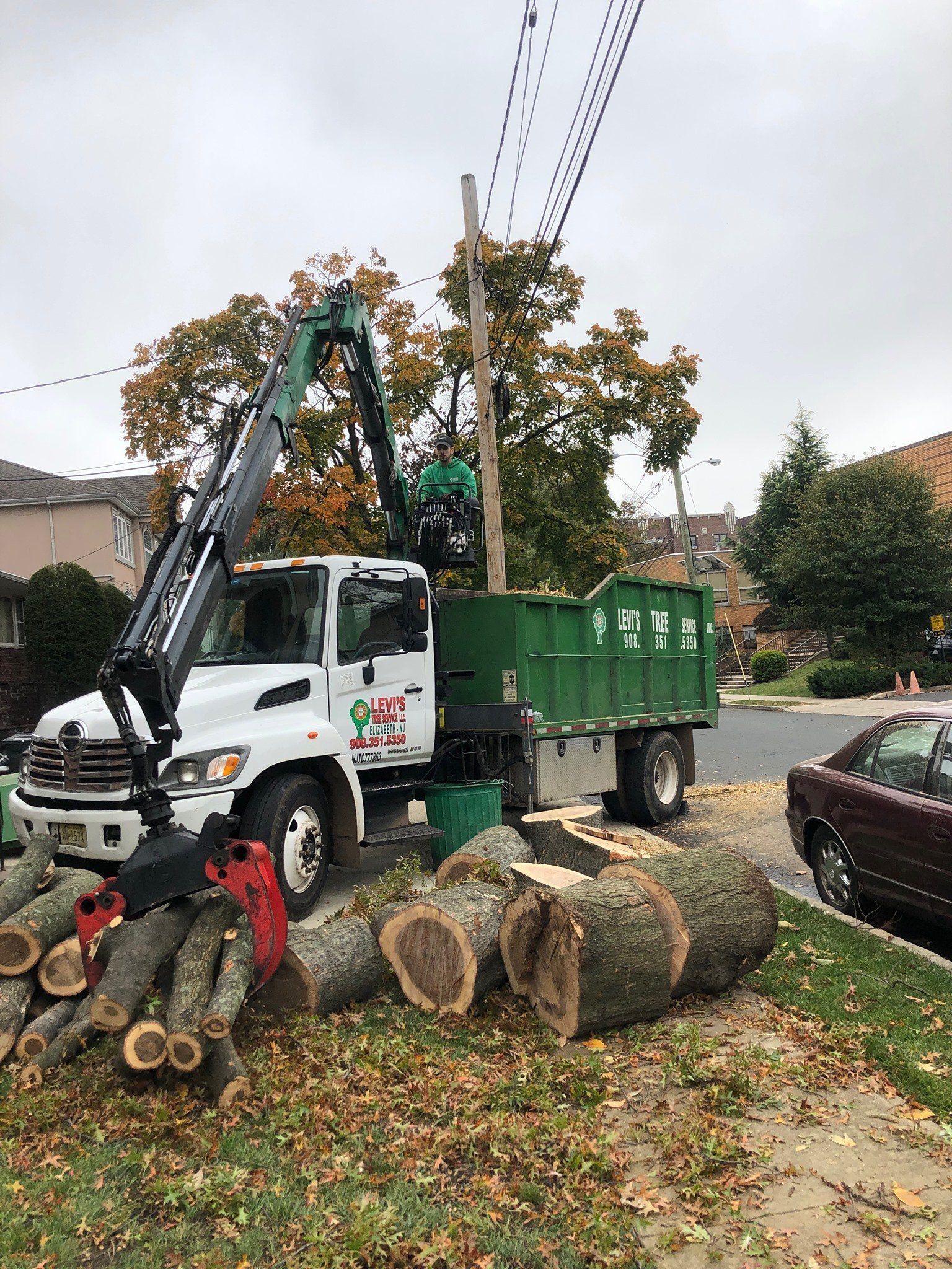 Tree removal truck removing tree limbs near a utility pole. Logs and debris on the ground.