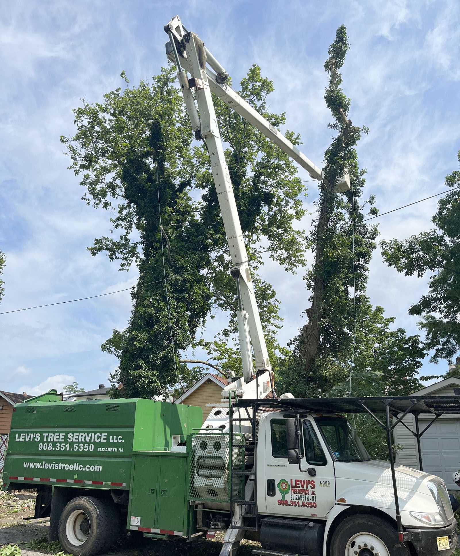A tree service truck with an extended arm trimming a tall tree against a cloudy sky.
