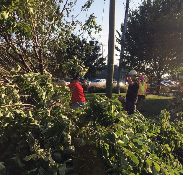 Two people clearing tree branches from a street after a storm. One wears a hard hat, another a red shirt.