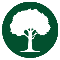 Levi's Tree Service LLC