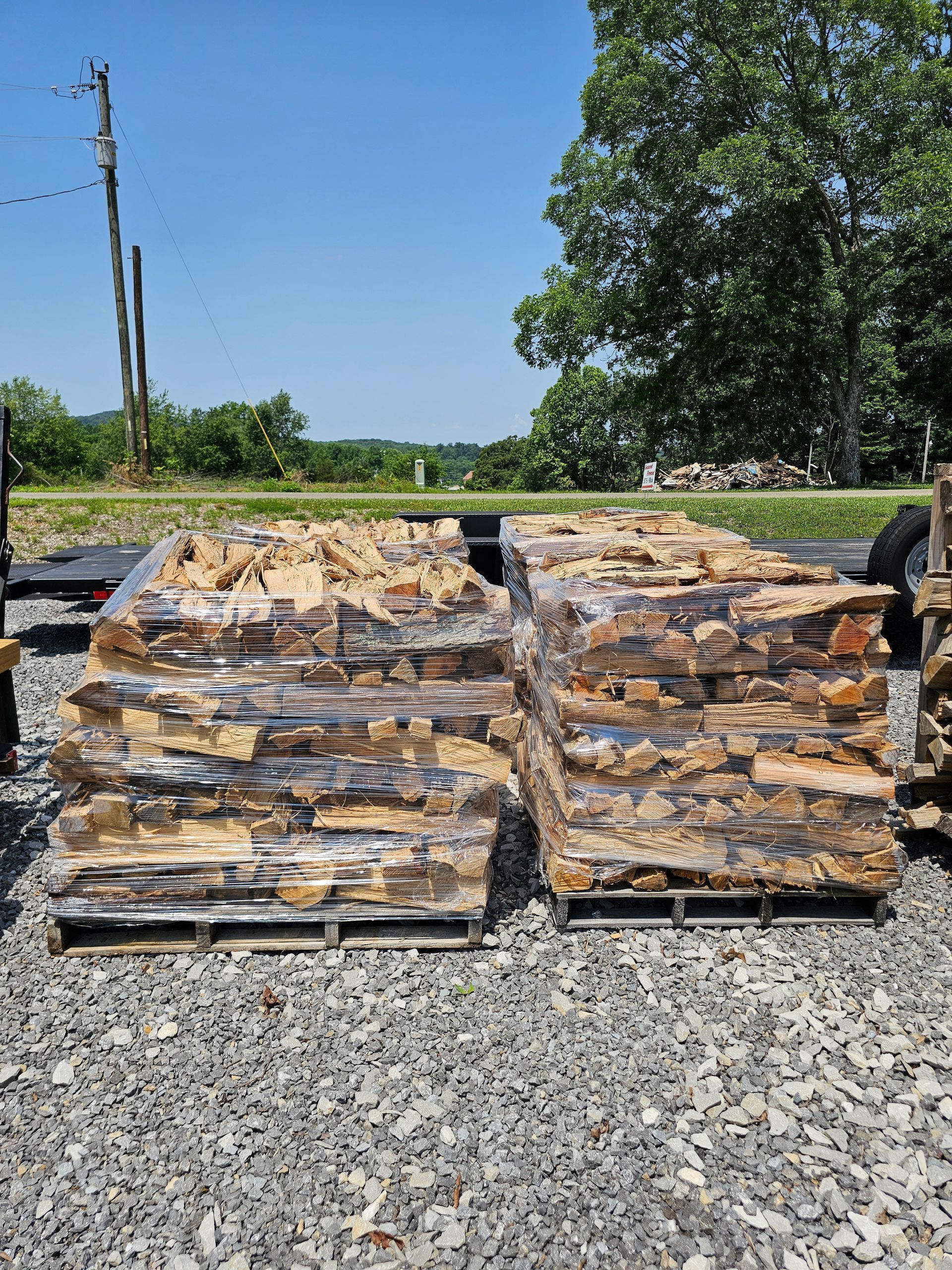 Shag Bark Hickory Shag Bark Hickory Smoking BBQ