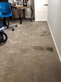 A room with a dirty carpet and a blue chair.