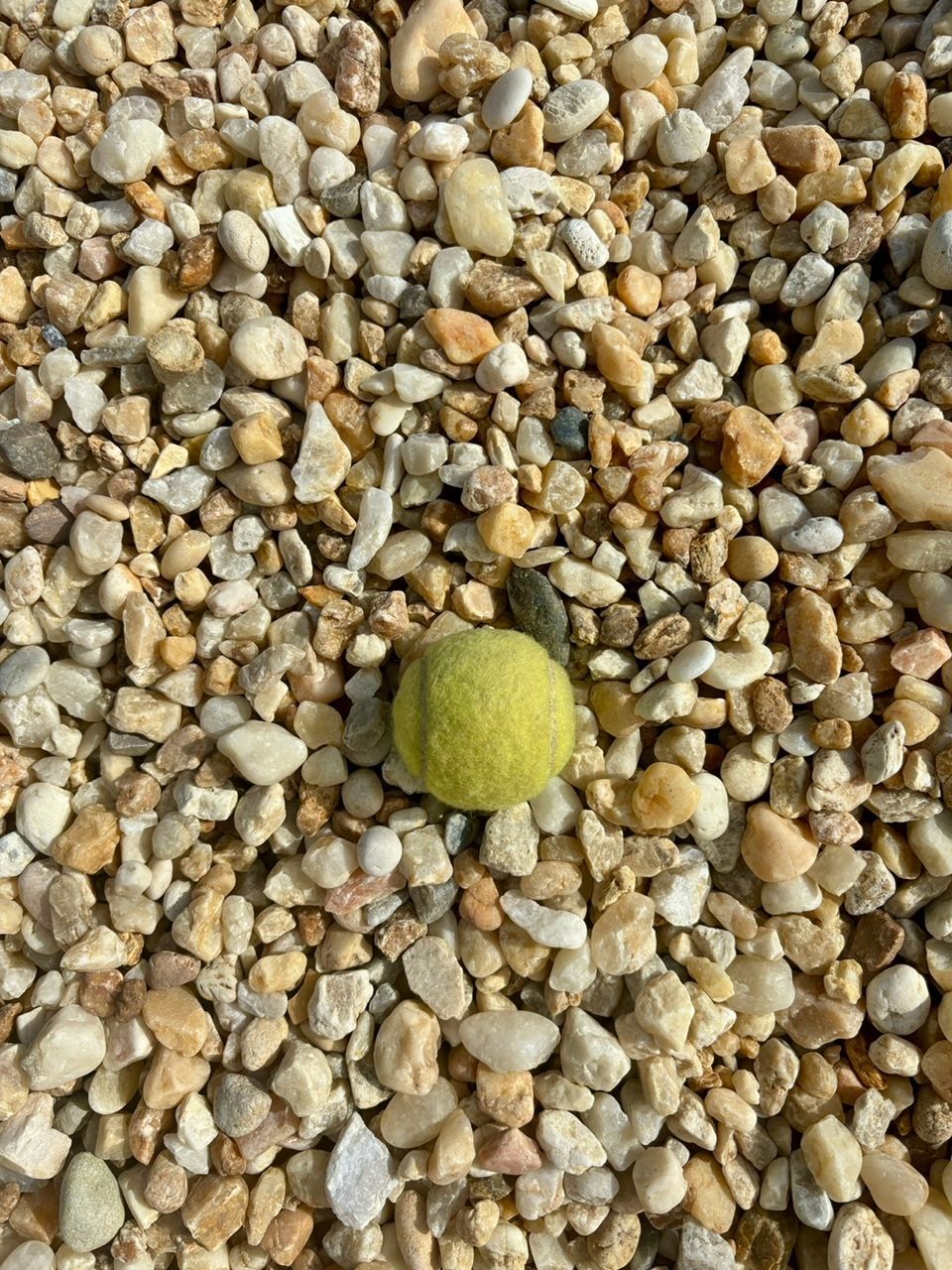 #56 River Rock 196/yd