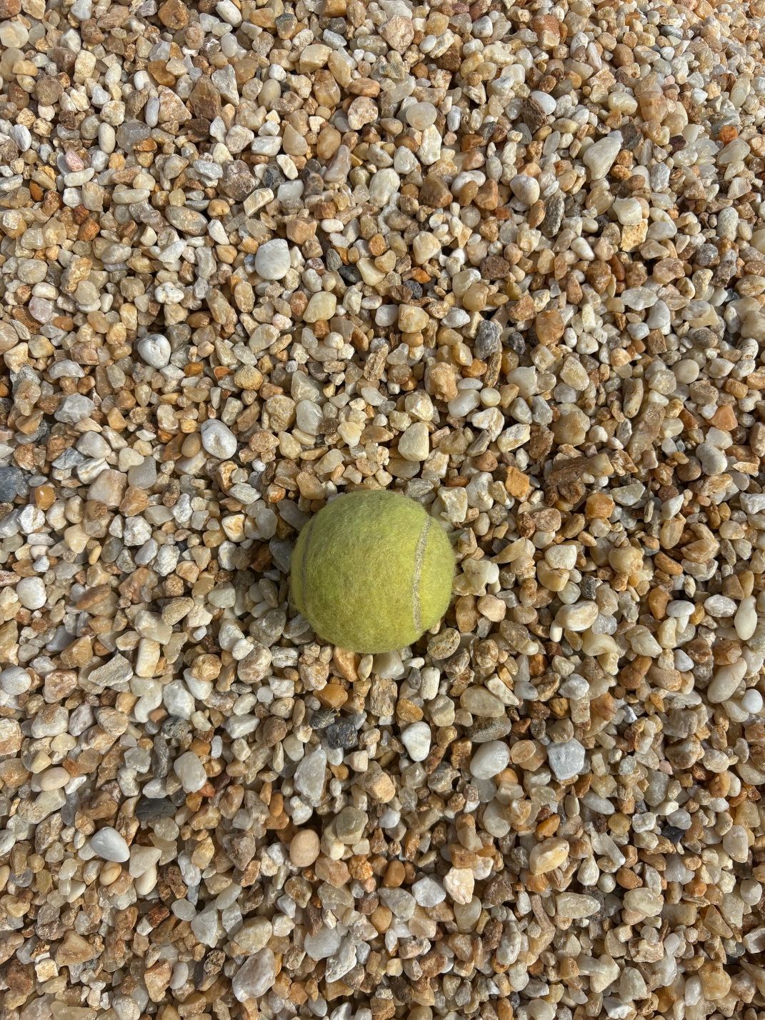 #7 Pea Gravel 115/yd