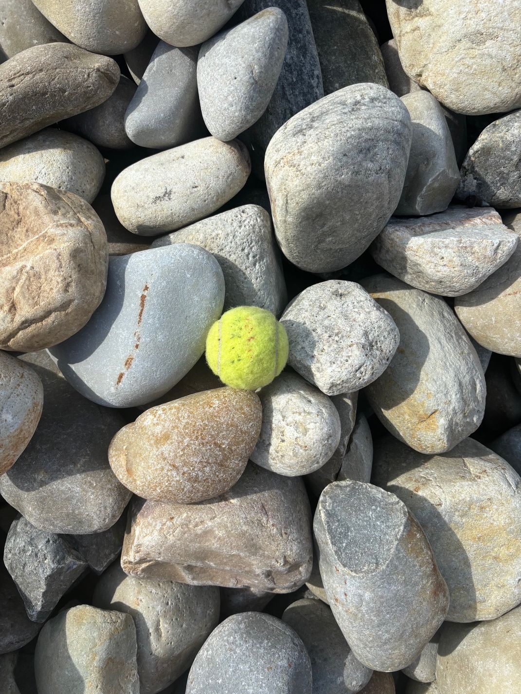 4-6 Cobble Stone 250/yd