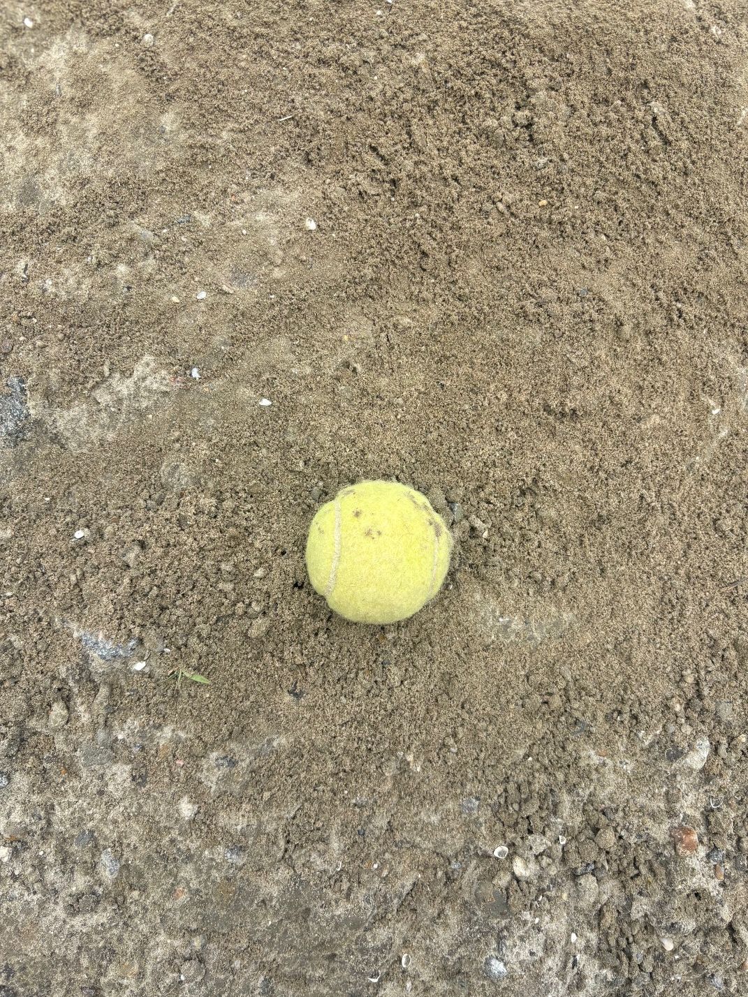 Unscreened Sand 31.50/yd