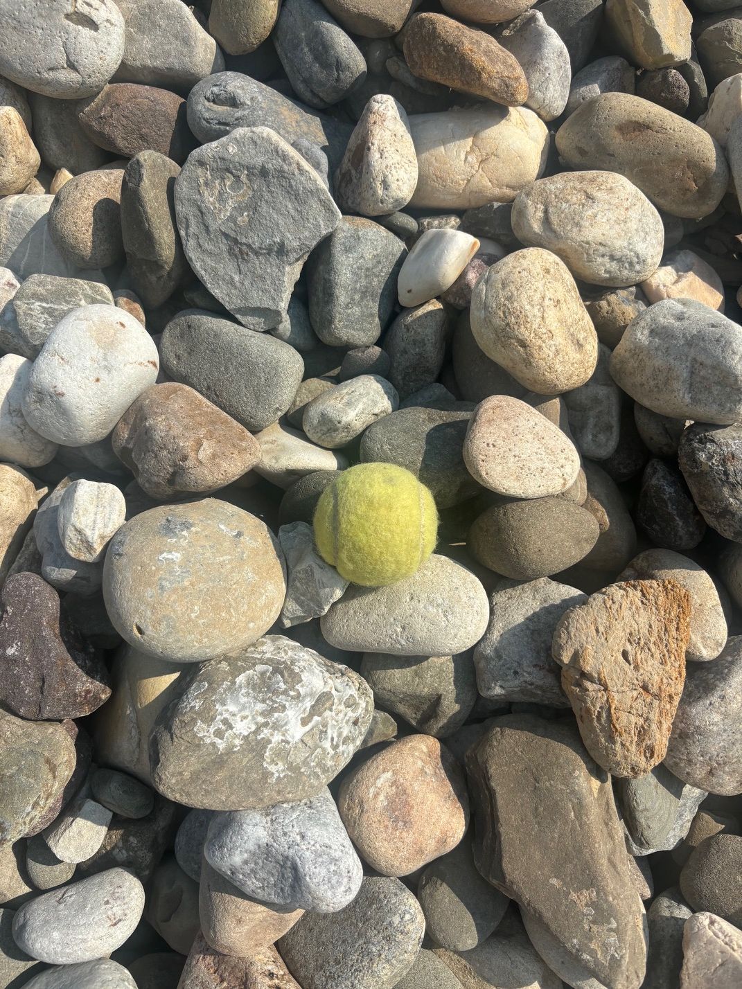 Small River Jacks 275/yd 1-3 inch