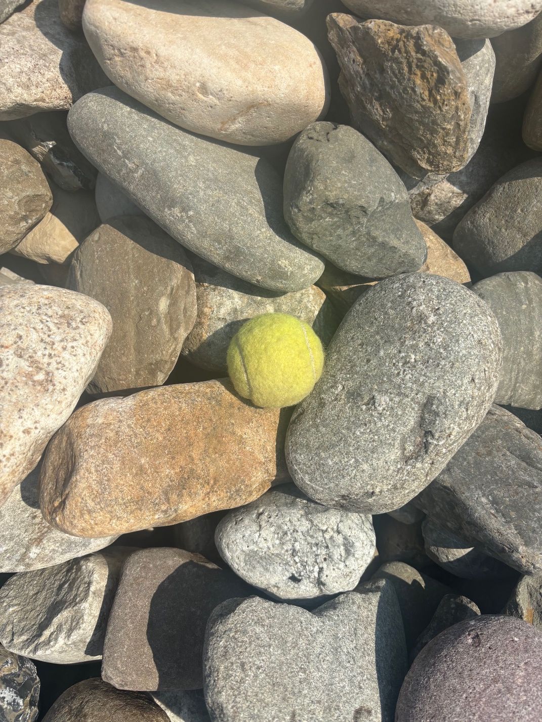 Medium River Jacks 275/yd 3-5 inch
