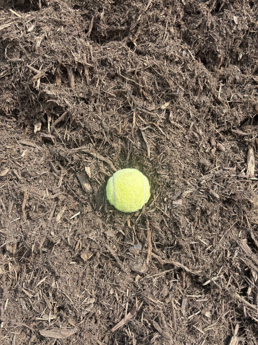 Hardwood mulch 39.50/yd
