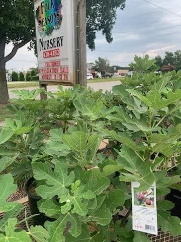 a business sign with lots of plants beside it