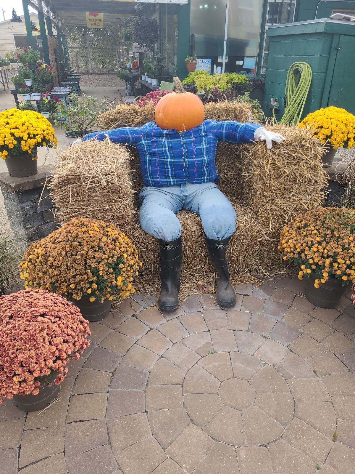 A scarecrow with a pumpkin on his head is sitting on a bale of hay.