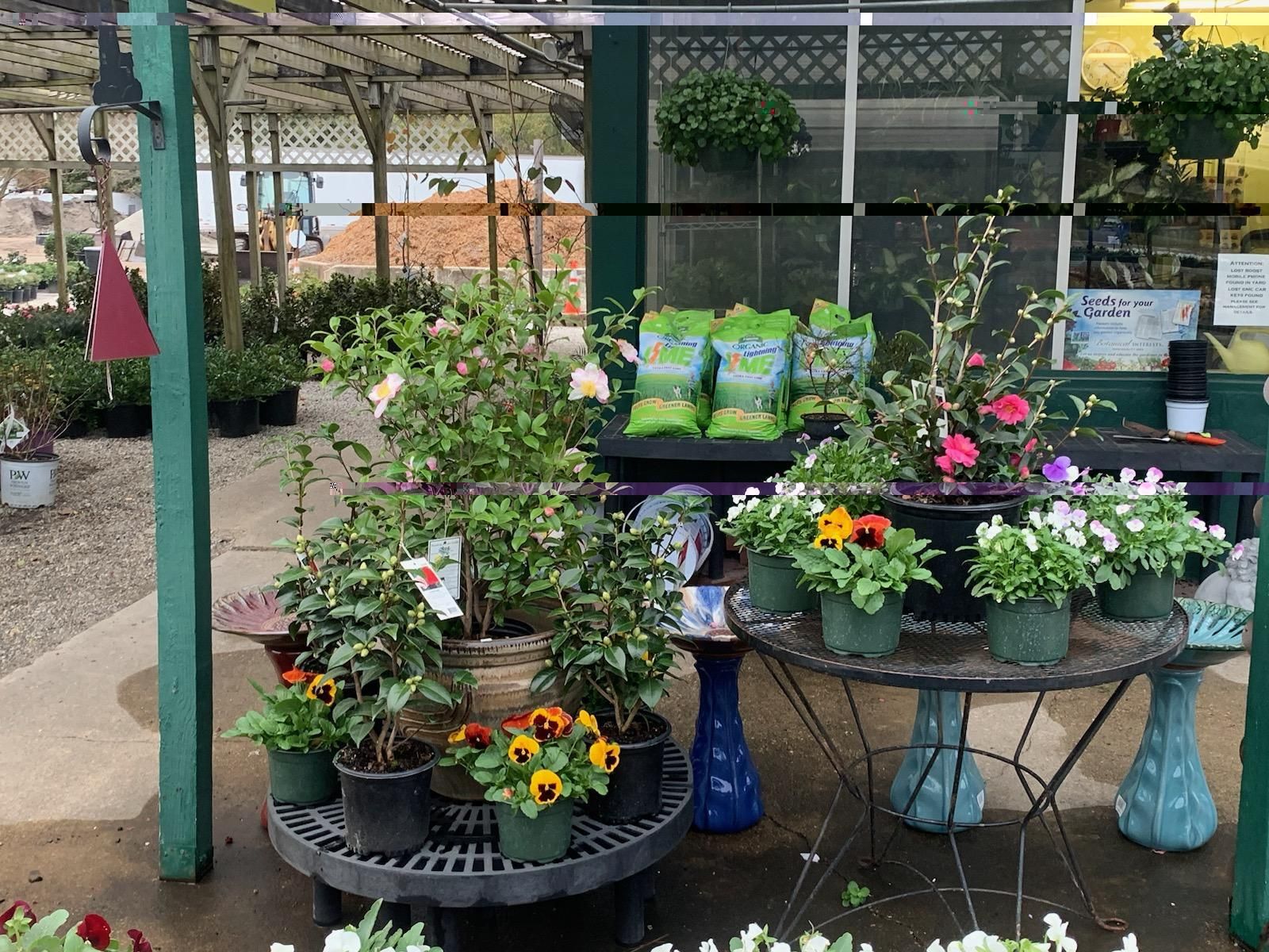A greenhouse filled with lots of potted plants and flowers.