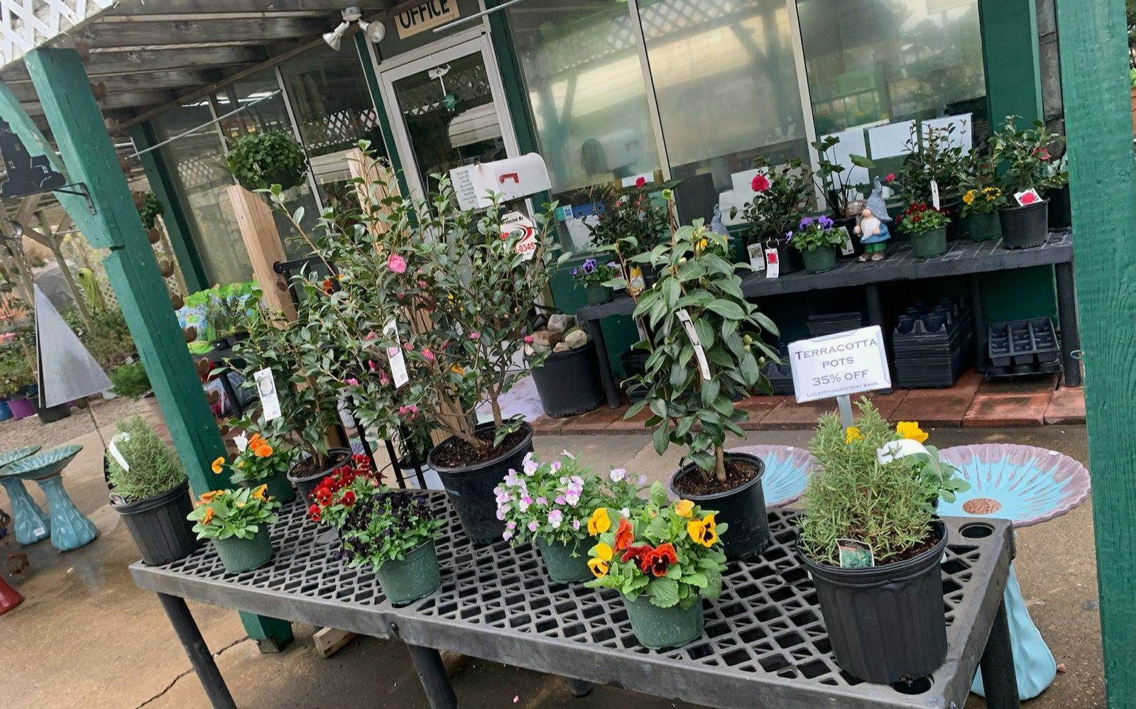 A table filled with potted plants and flowers in front of a store.