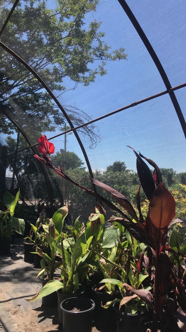 Garden Center Virginia Beach, VA Four Seasons Nursery