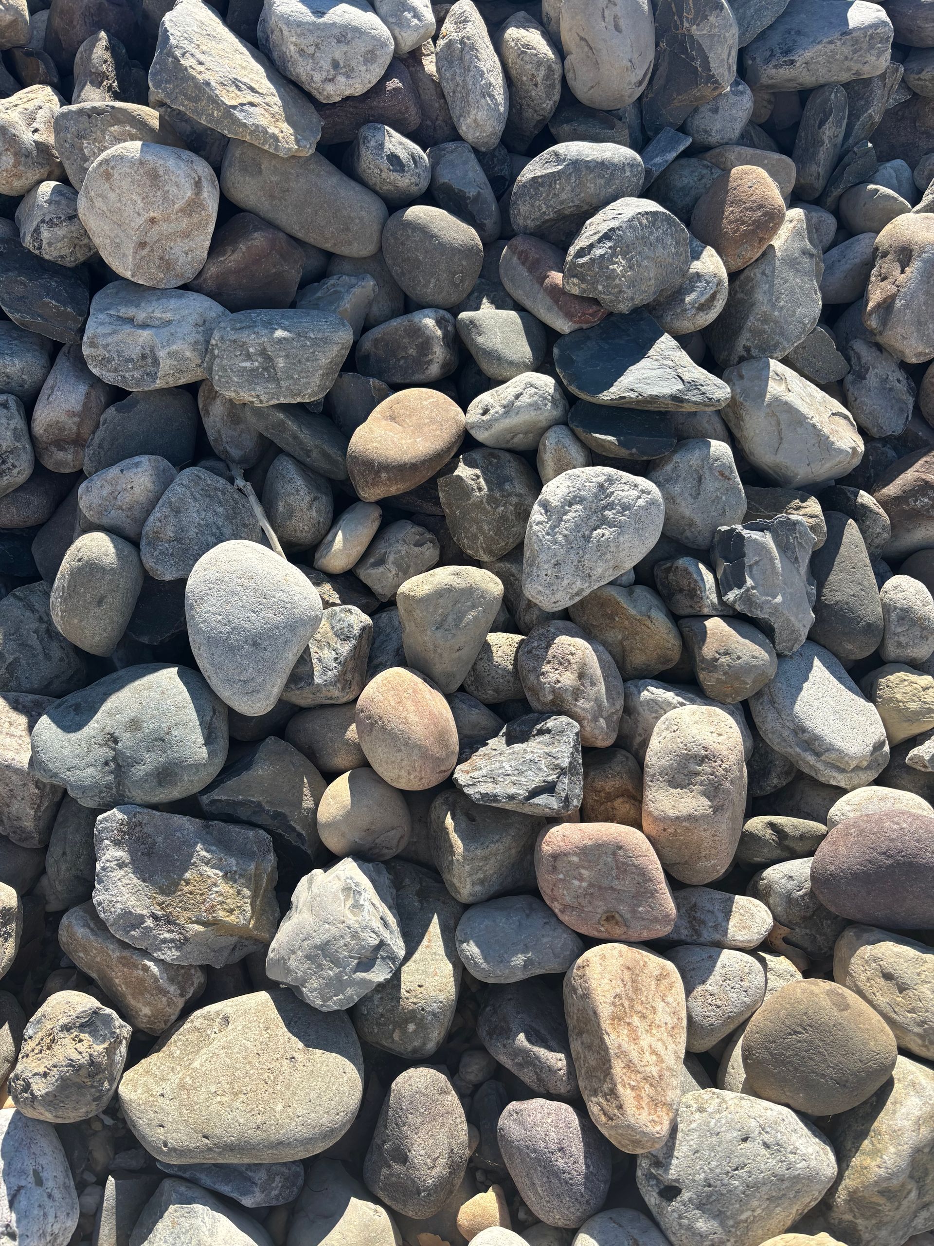 Pile of small gray and tan rocks filling the frame