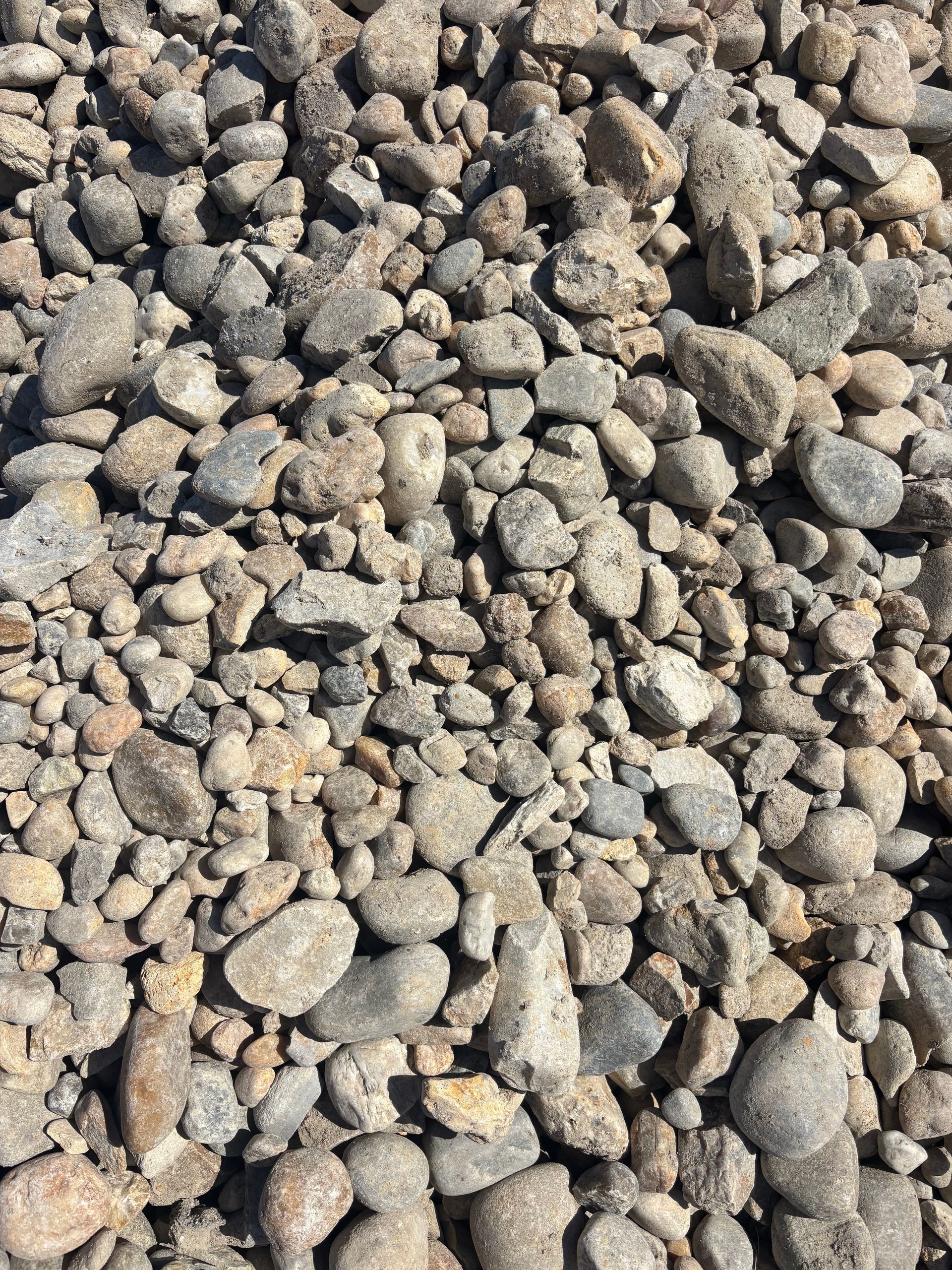 Close-up of small gray and tan pebbles and gravel covering the ground