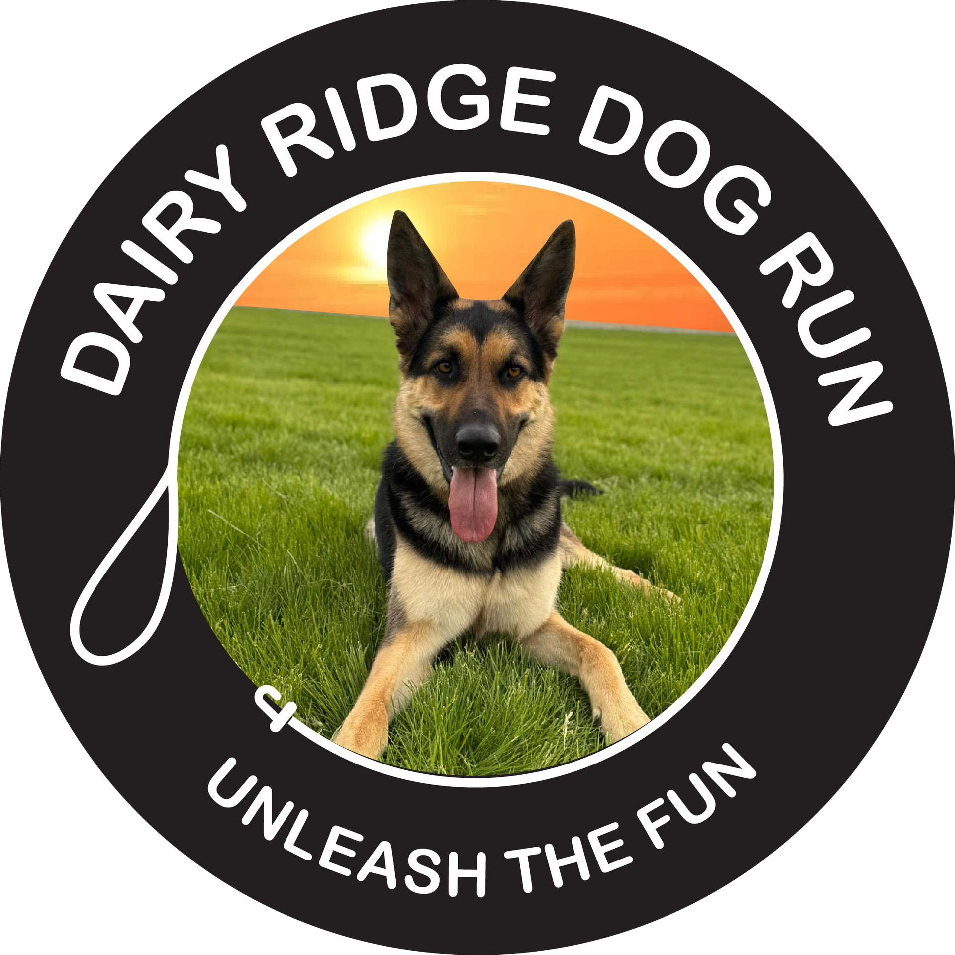 Dairy Ridge Dog Run logo featuring a German Shepherd in a field, with sunset background.